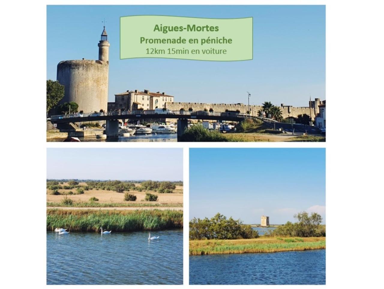 T2 Traversant Familial Cap Sud Parking Plages - Rossiconciergerie - Linge En Option * La Grande Motte